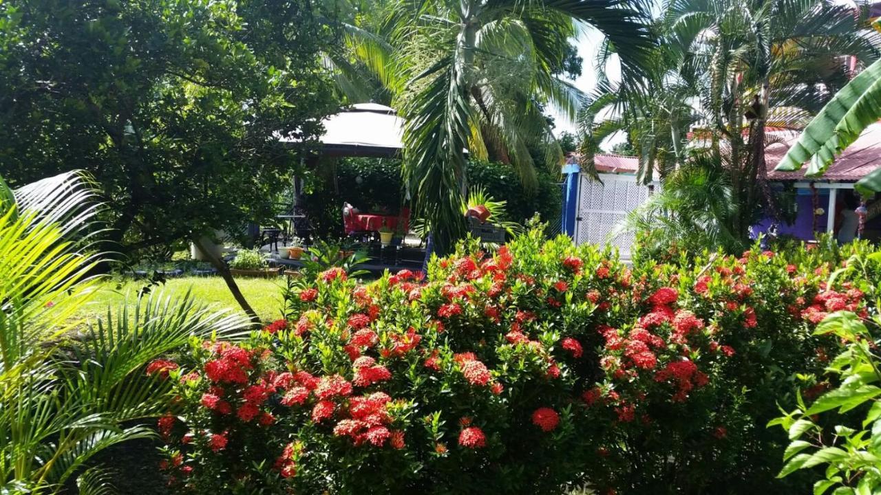 Posada Nativa Licy San Andrés エクステリア 写真